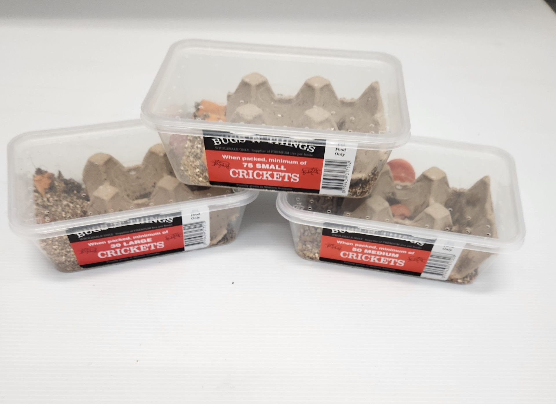Crickets (tub)