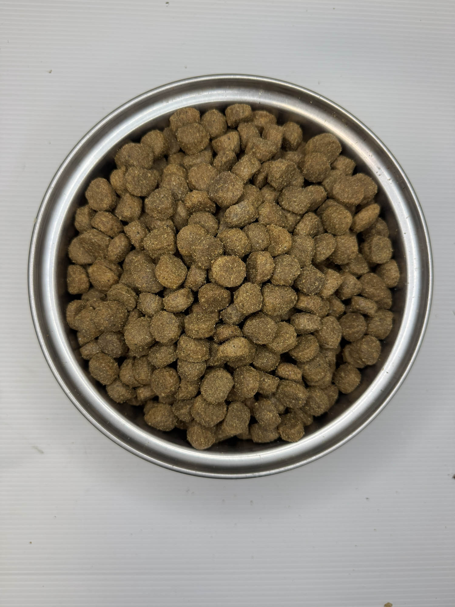 Lifewise Kibble – Ocean Fish
